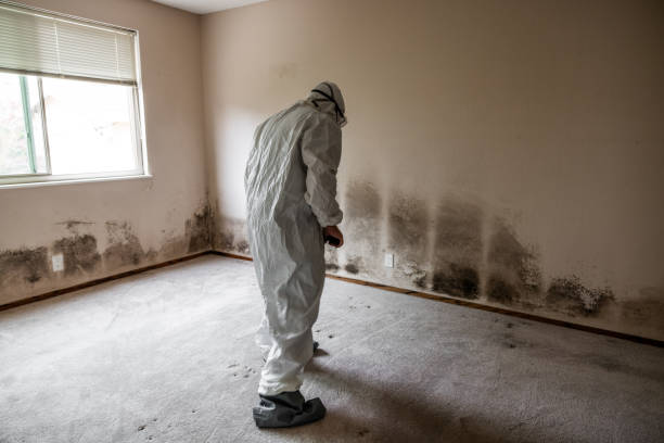 Best Residential Mold Removal  in Statham, GA